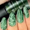 Alocasia (B441) - Shimmer Forest Green Stamping Polish