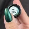 Harvest Hues: Falling Leaves (B529) - Green Metallic Stamping Polish
