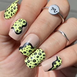 In Shape (M301) - Nail Stamping Plate