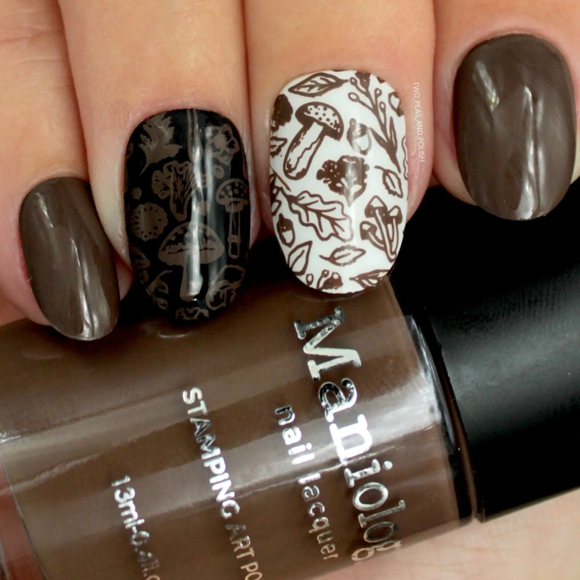 Naturel: 6-Piece Neutral Stamping Polish Set