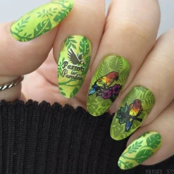 Parrots in Paradise Sanctuary (M624) - Nail Stamping Plate