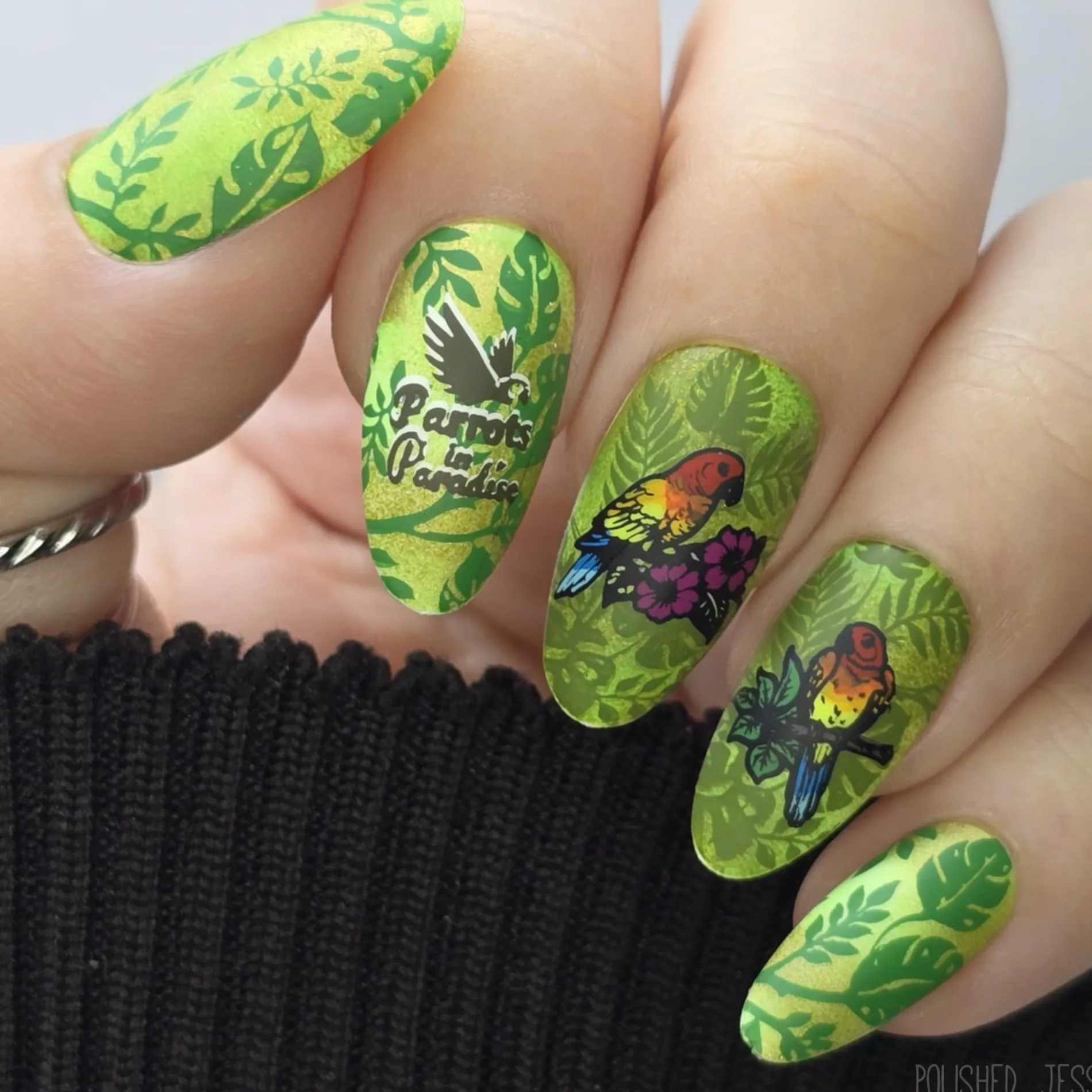 Parrots in Paradise Sanctuary (M624) - Nail Stamping Plate