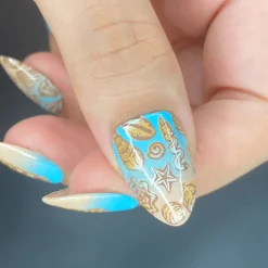 Shell Yeah! (M388) - Nail Stamping Plate